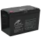 Ritar LFP12.8V100AHG24 Акумуляторна батарея з bluetooth
