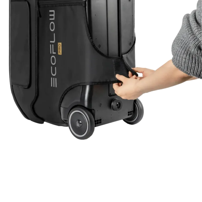 EcoFlow DELTA Pro Bag Сумка